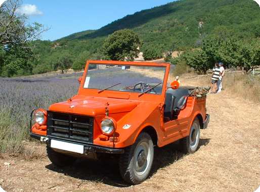  quelques lignes aurontelles veill votre int r t pour la DKW Munga